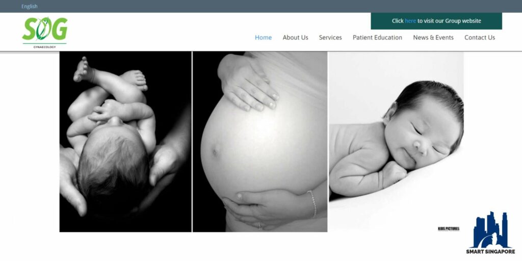 SOG Gynaecology - SC Hong Clinic for Women's Homepage