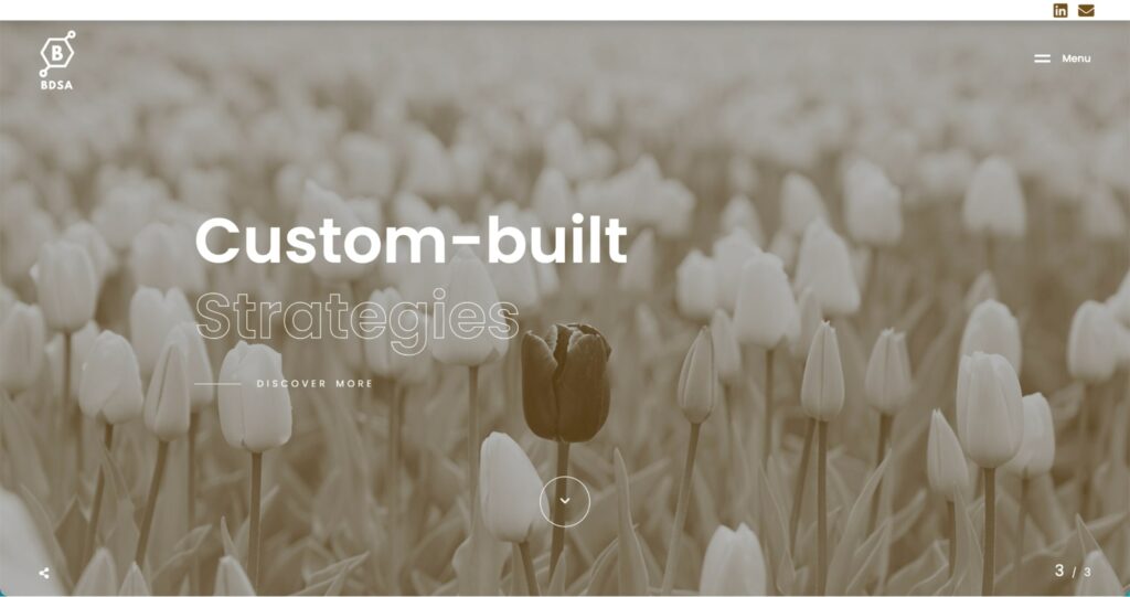 BDSA Pte Ltd Homepage