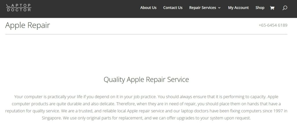 Laptop Doctor Homepage