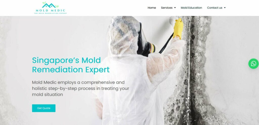 Mold Medic Homepage