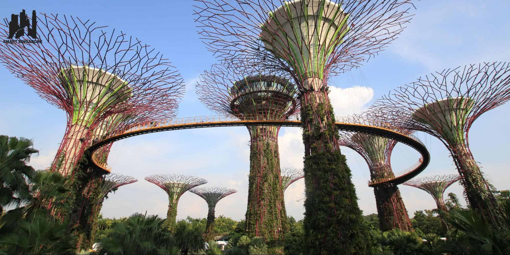 Your One-Stop Guide to Supertree Grove at Gardens by the Bay [2025]