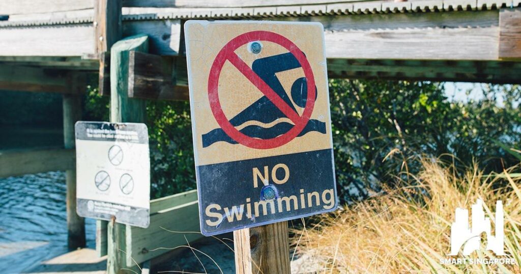 Can you swim in MacRitchie Reservoir