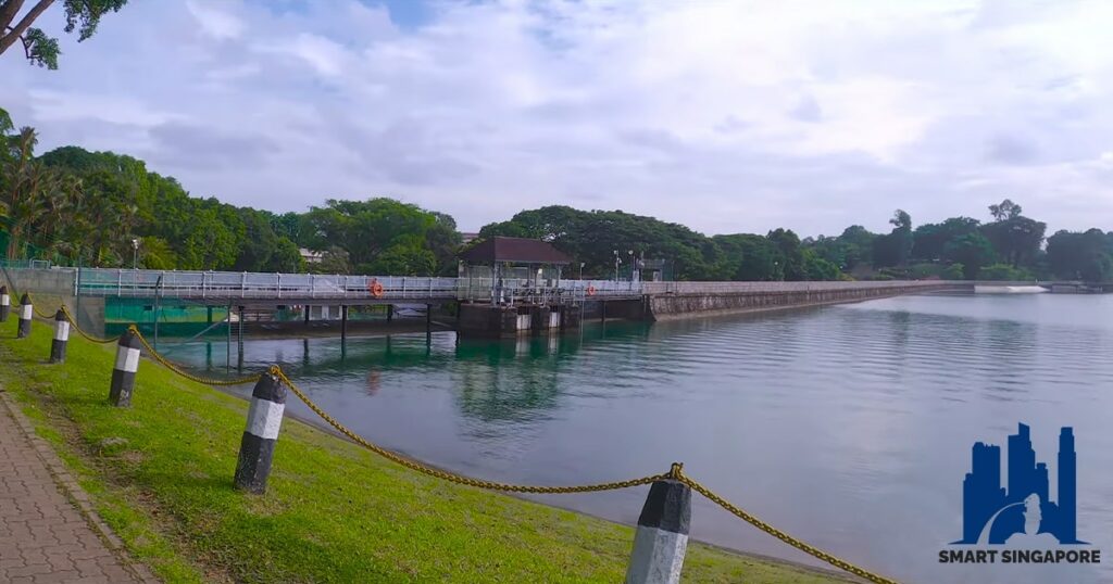 Evolution of Macritchie Reservoir as a Popular Recreational Spot