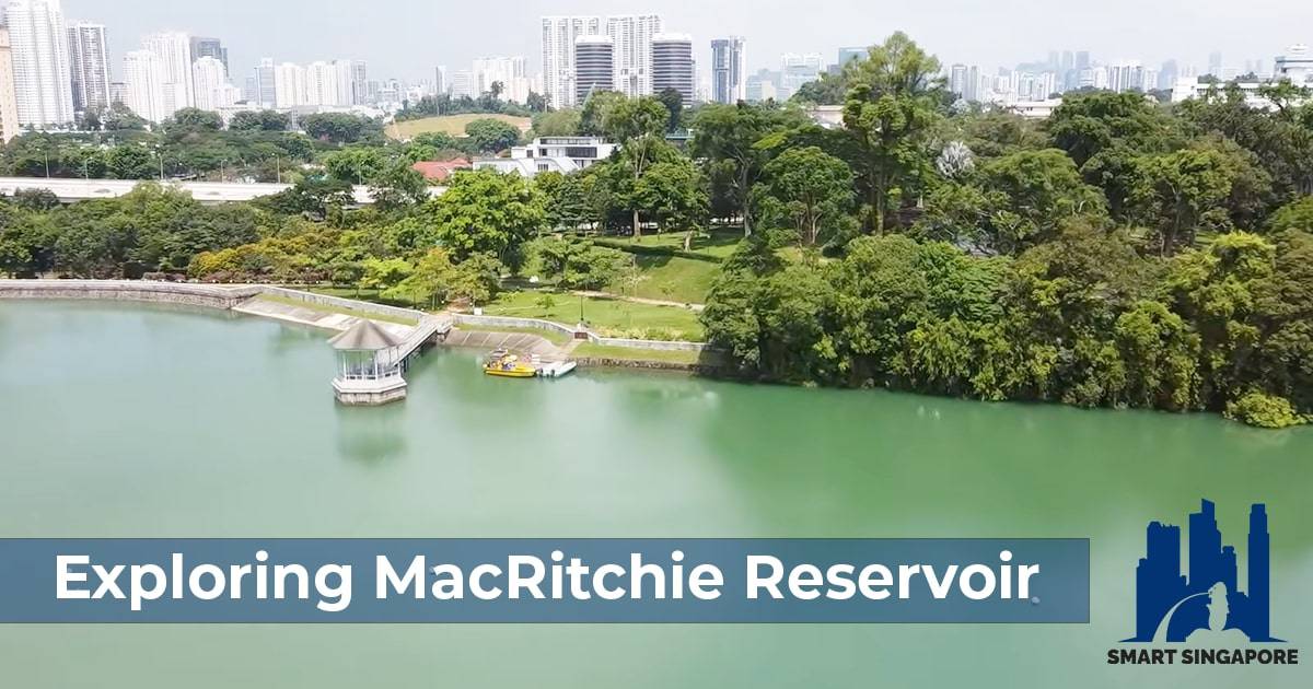 Exploring MacRitchie Reservoir in Singapore