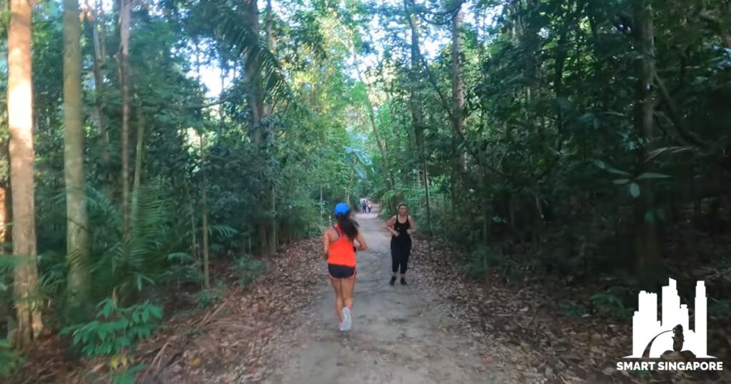 Length and Difficulty of MacRitchie Reservoir Trails