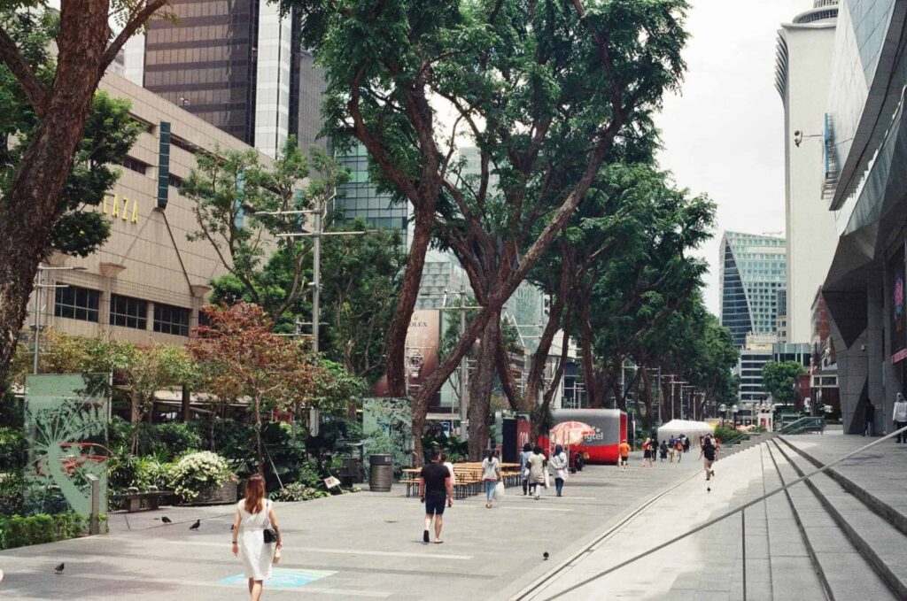 Orchard Road in Singapore: 13 reviews and 30 photos