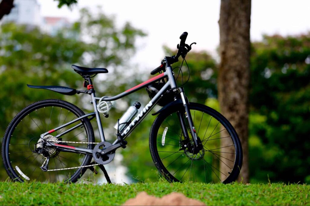Ang Mo Kio - Lornie Route