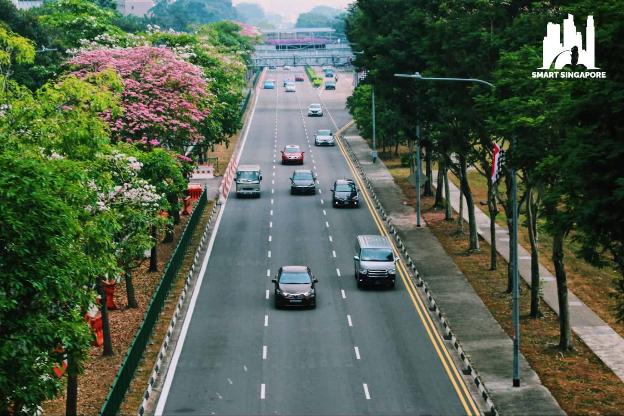 Ultimate Guide to Getting a Driver’s License in Singapore