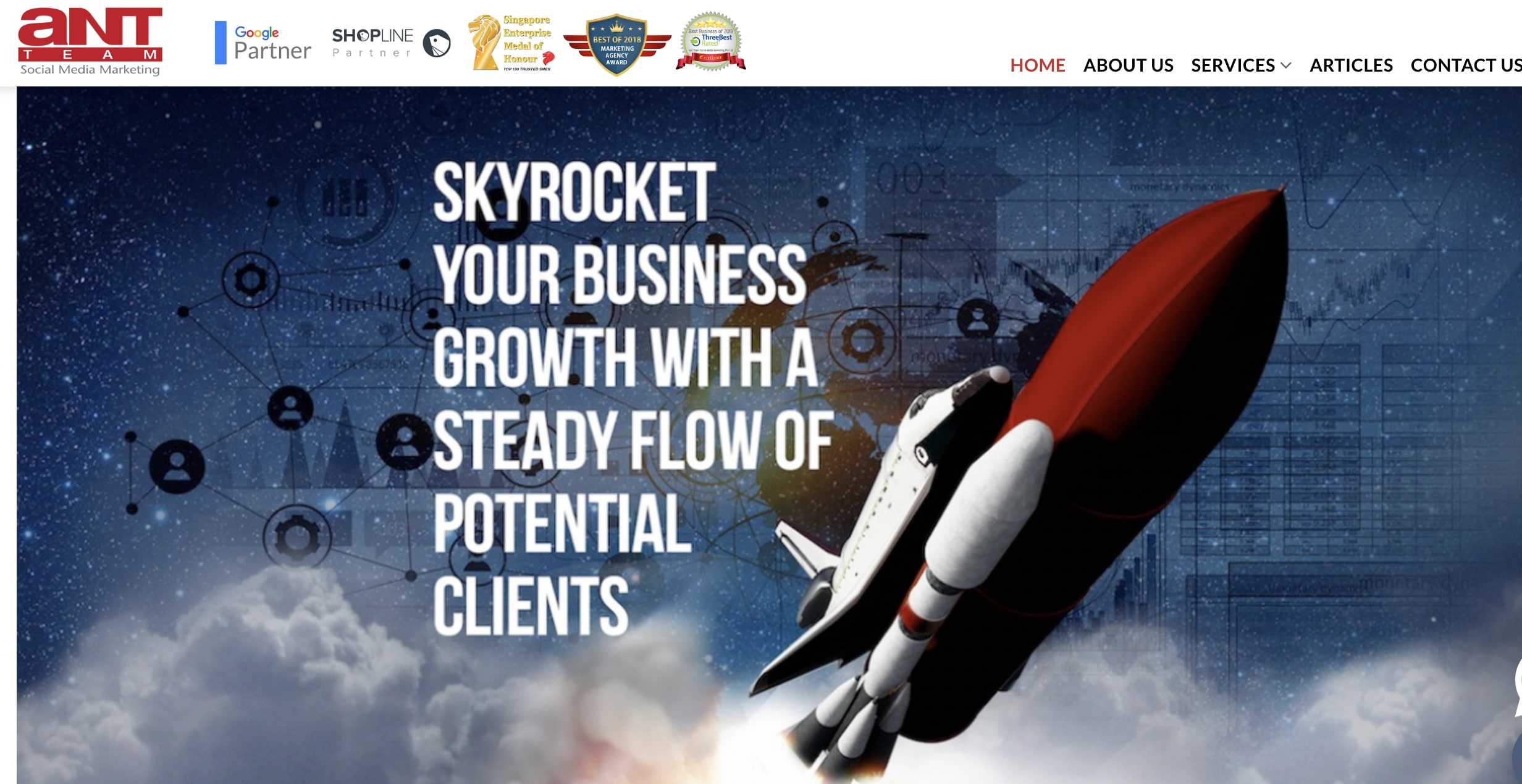 Ant Team Social Media Marketing Agency in Singapore Banner