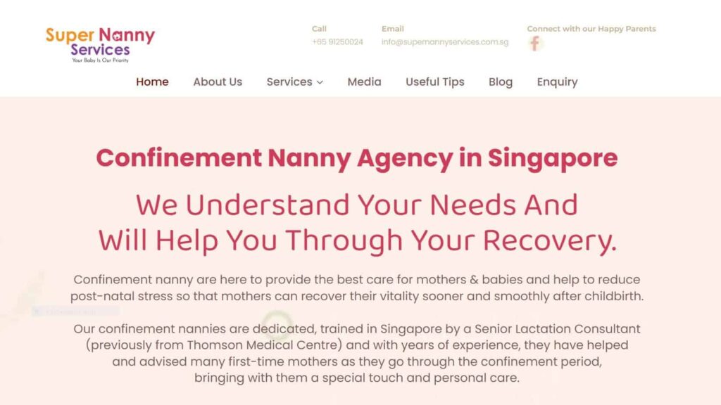 Super Nanny Services's Homepage