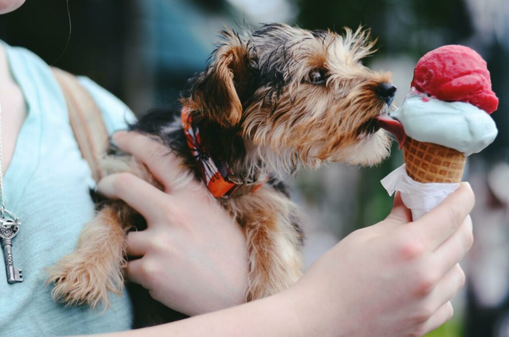 7. Go indulge in ice cream (and other cold treats)