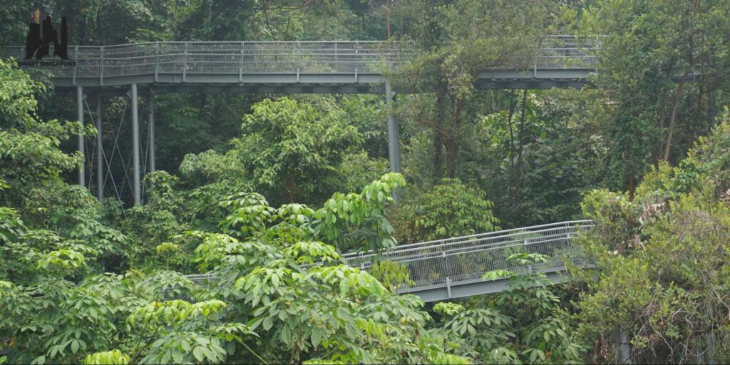 What are the Southern Ridges