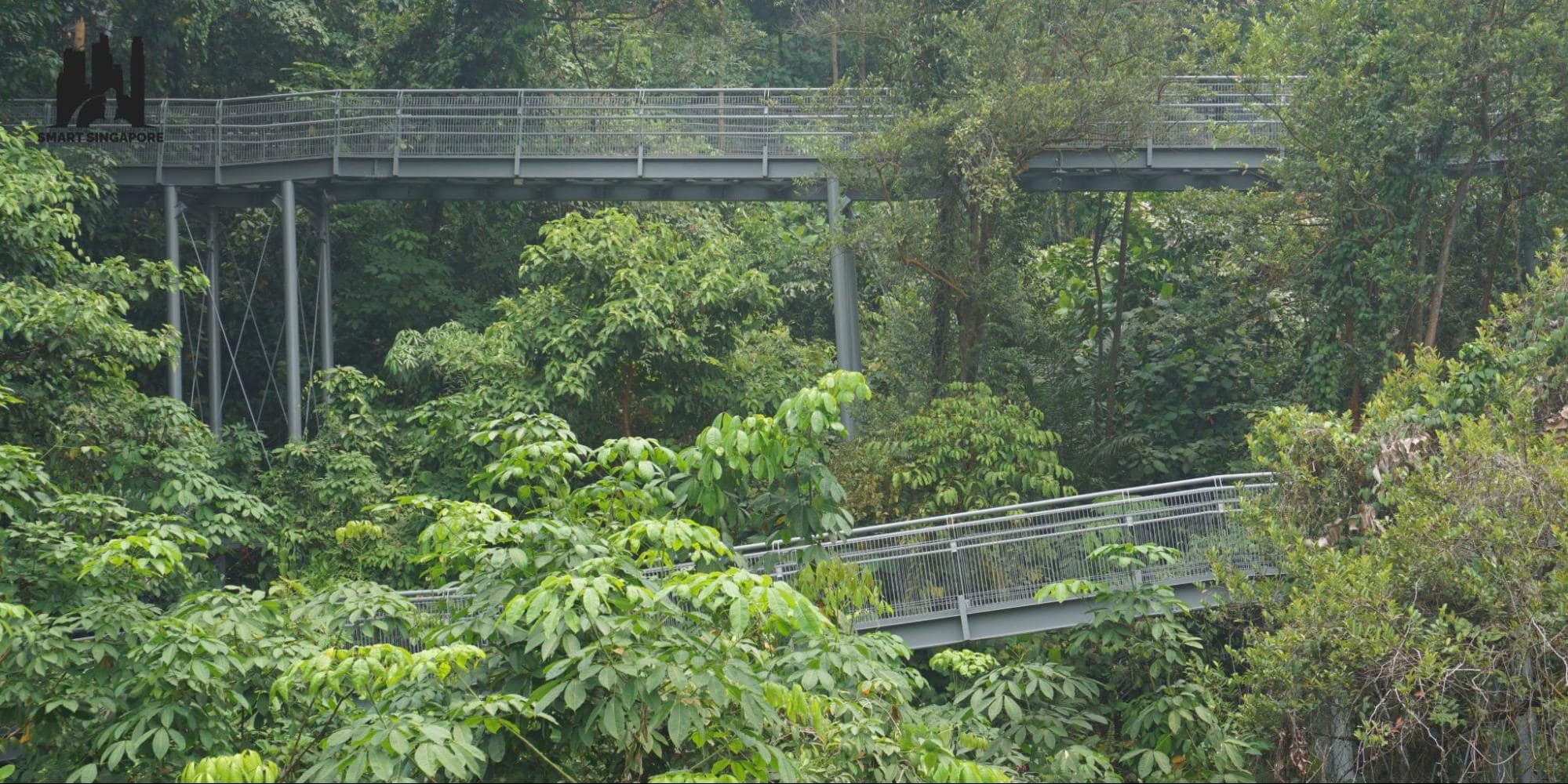 Southern Ridges’ Gem: A Green Thumb’s Guide to HortPark [2026]