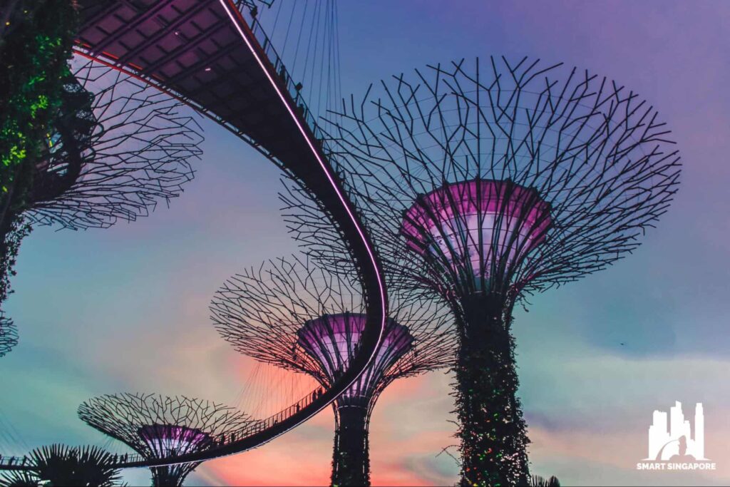 Go Green Guide to Planning a Sustainable Event in Singapore