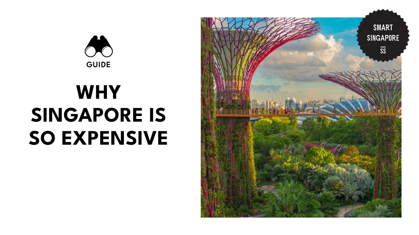 why singapore is so expensive