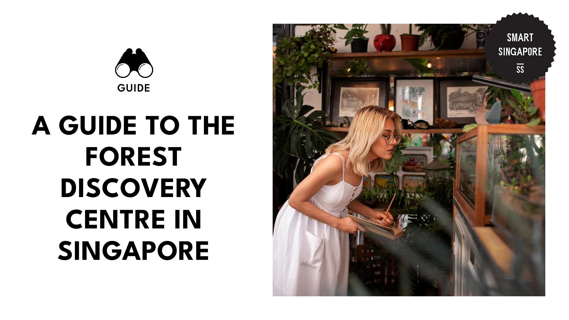 forest-discovery-centre-banner