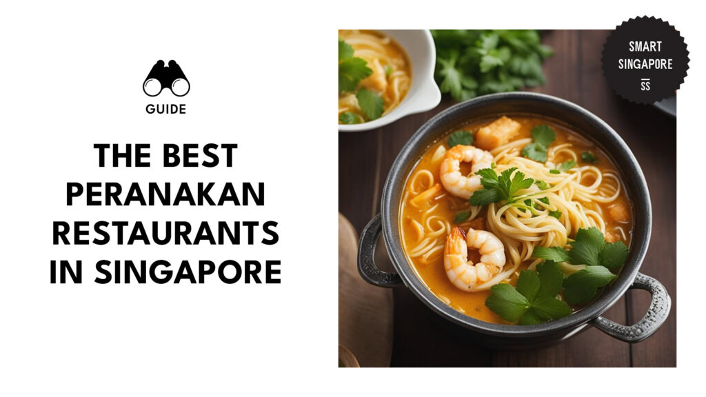 best-peranakan-restaurants-singapore-banner