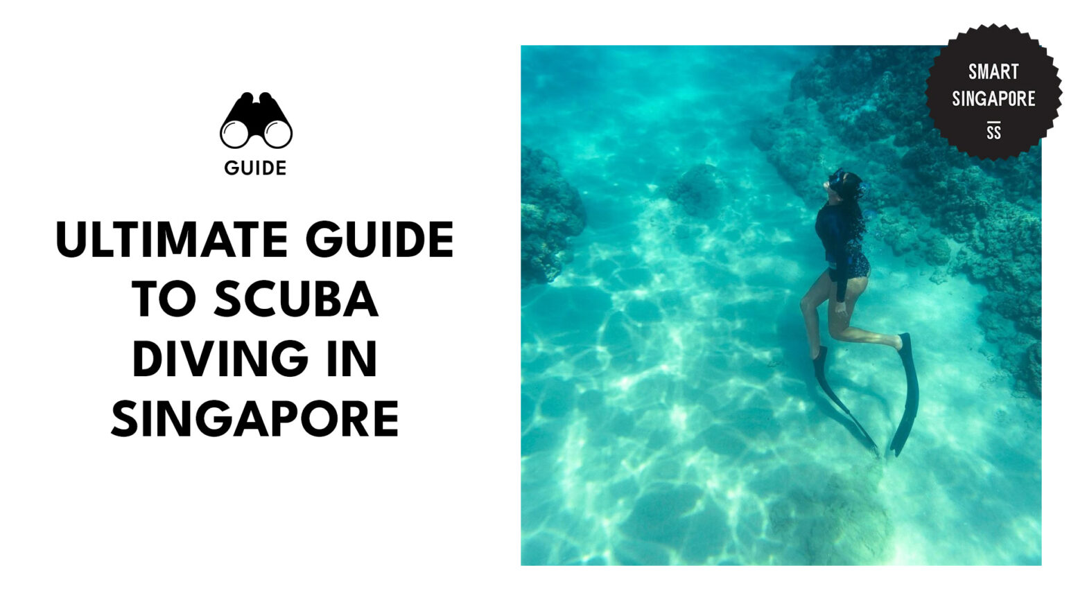 Escape to the sea with this helpful SG scuba diving guide! [2026 ]
