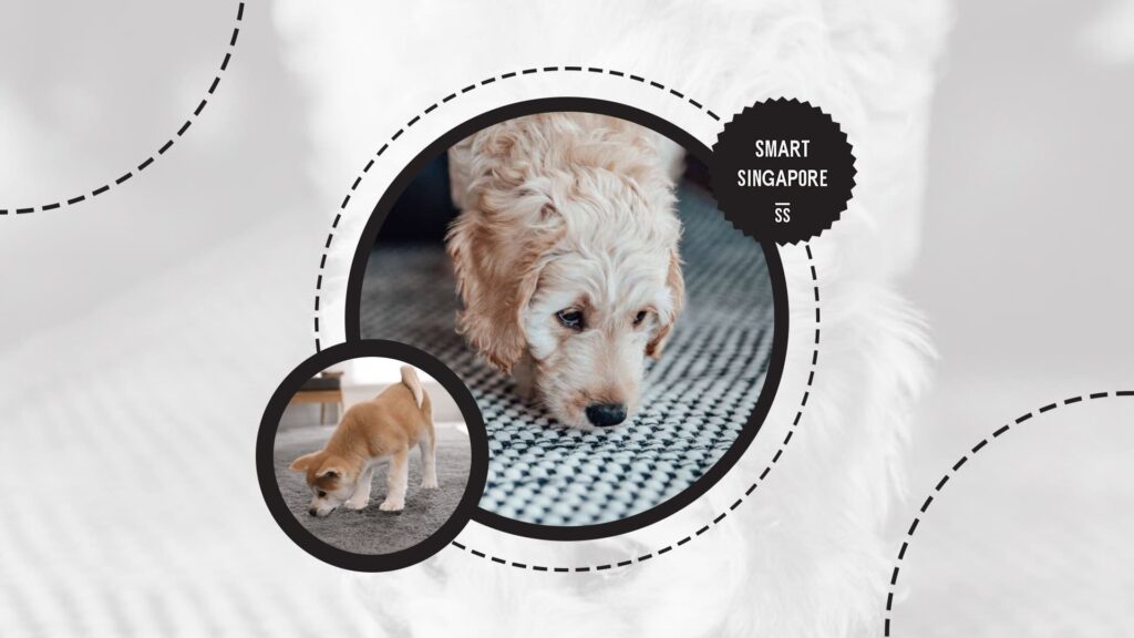 dog-sniffing