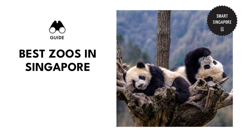 best-zoos-singapore-banner