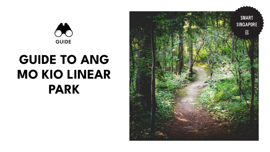 ang-mo-kio-linear-park-guide-banner