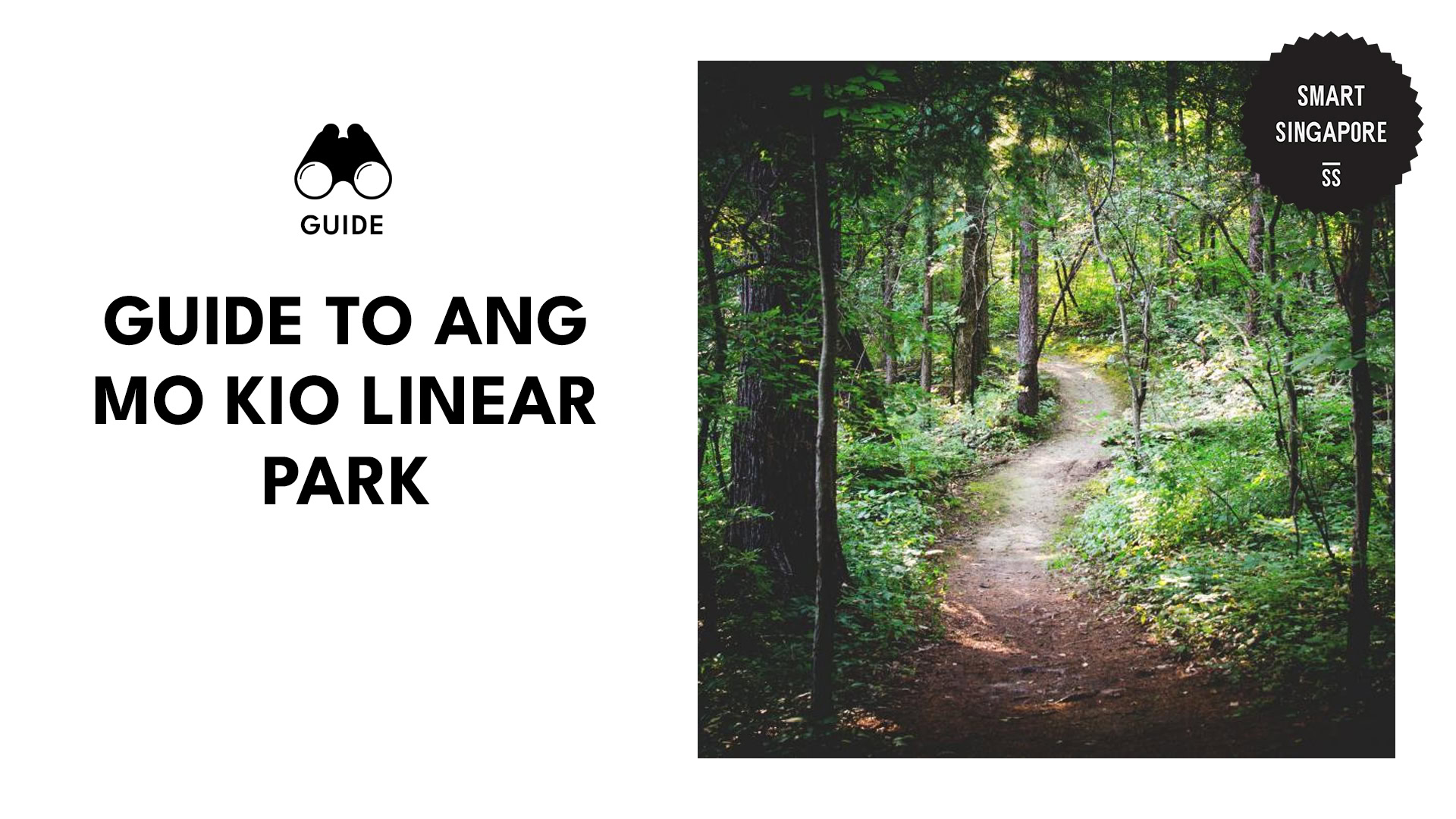 ang-mo-kio-linear-park-guide-banner