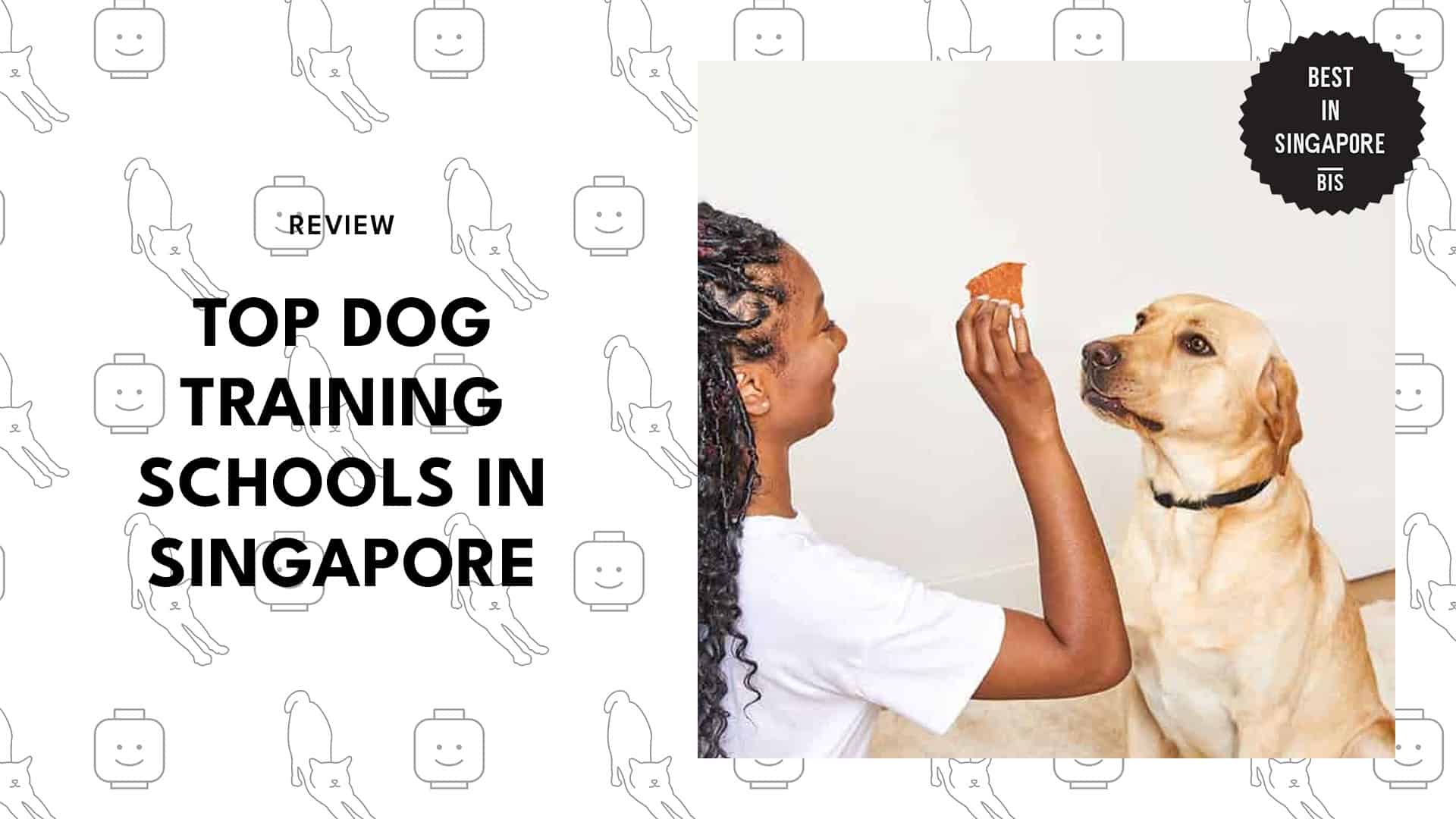 dog-training