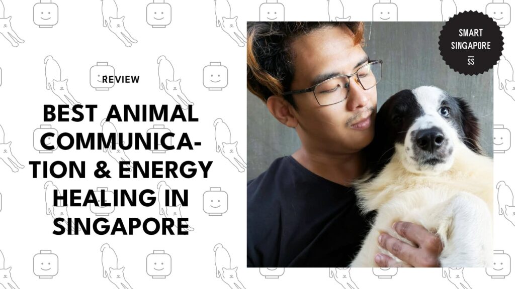 animal-communication-energy-healing-singapore