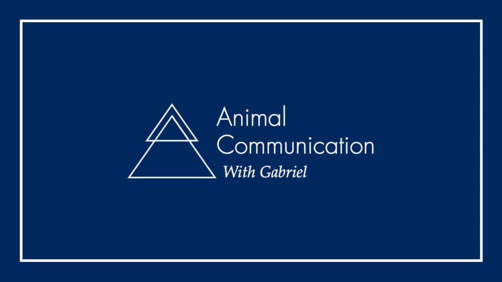 animal-communication-with-gabriel