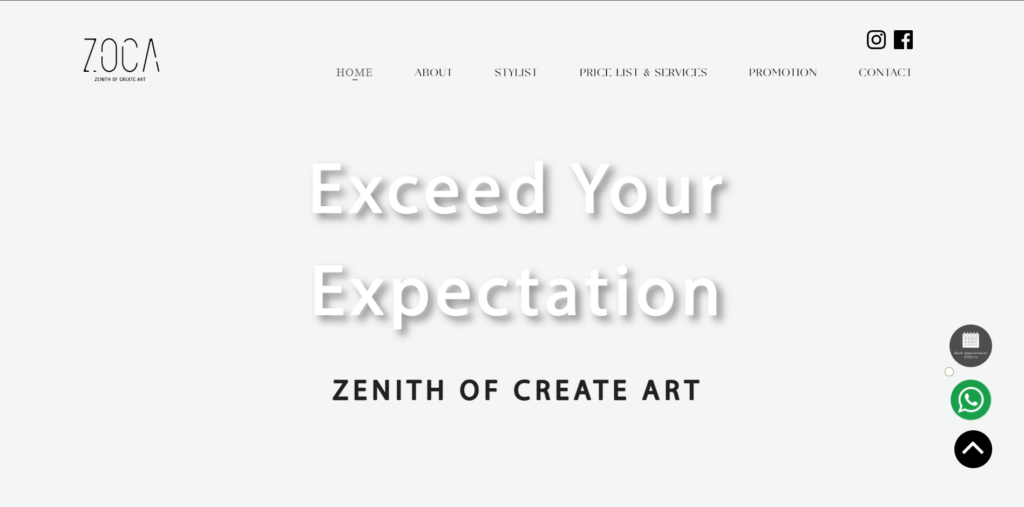 zoca hairs homepage