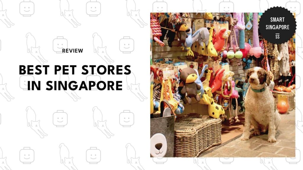 best-pet-store-singapore