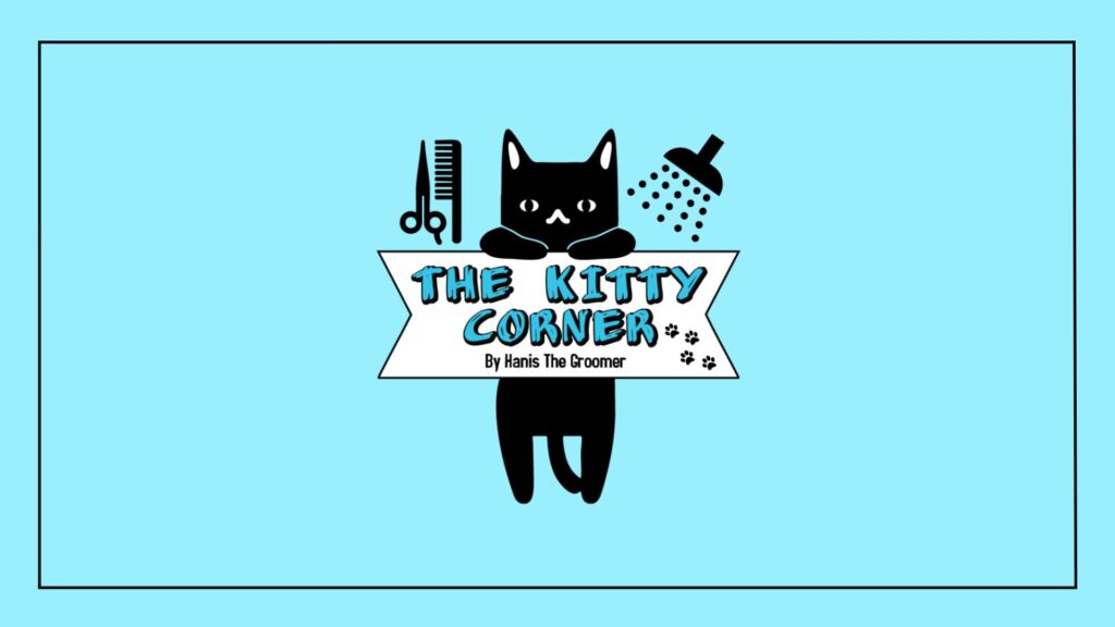 the kitty corner