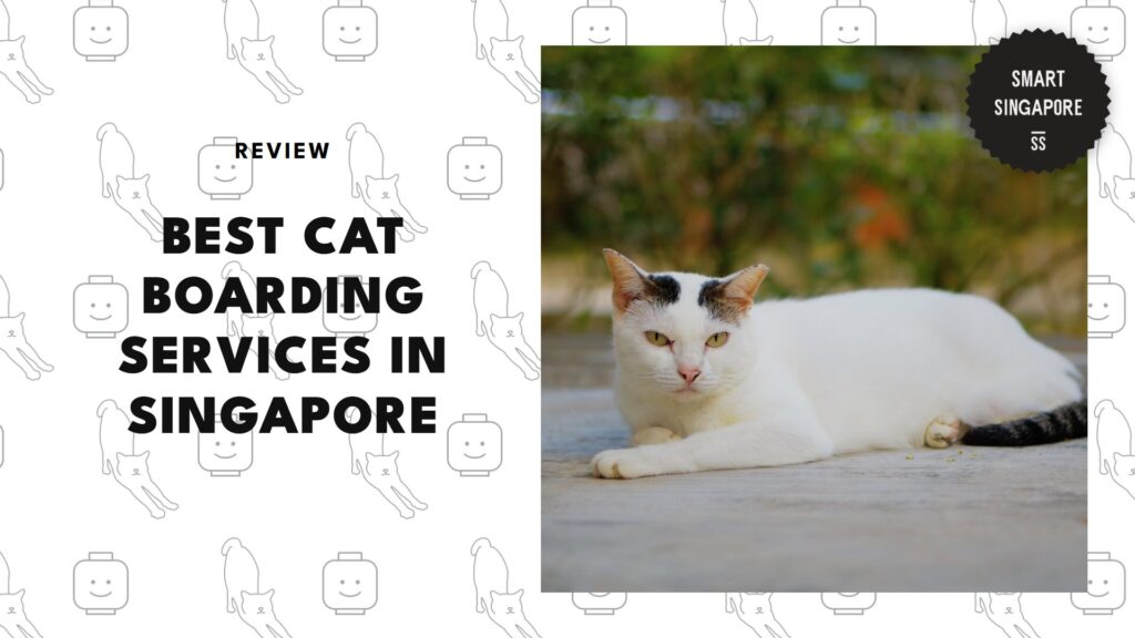 best-cat-boarding-singapore-banner